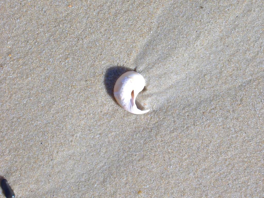 Human Kindness Undoes Old&nbsp;Woman