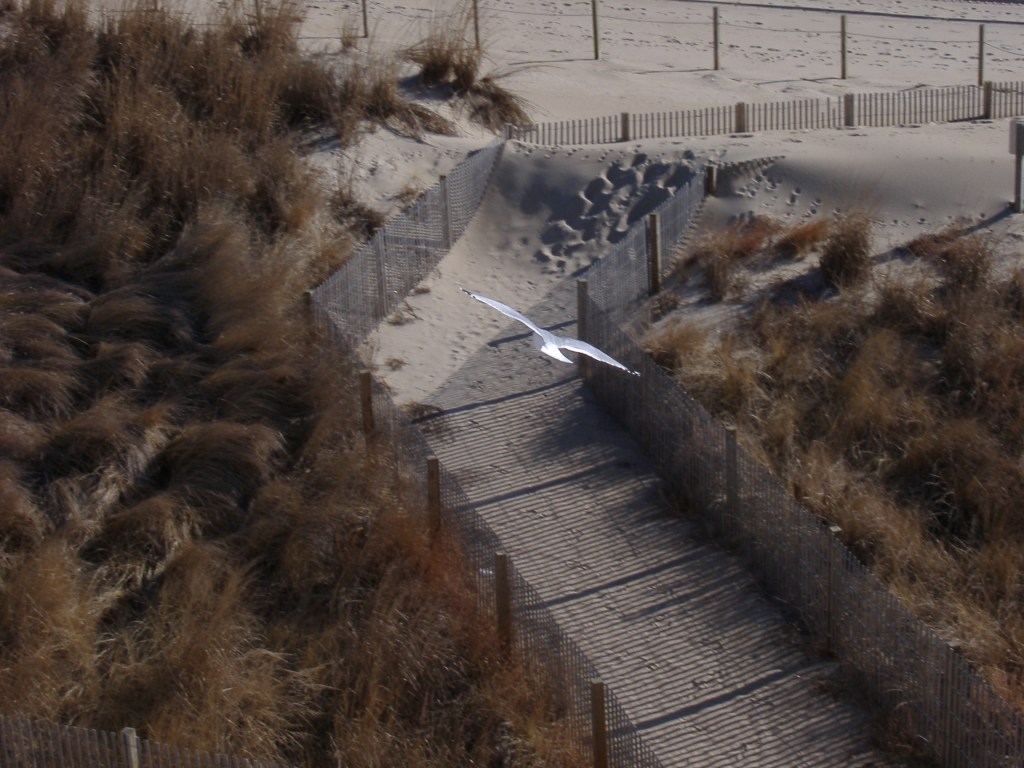 For A Fool Too Wise To Be&nbsp;Foolish