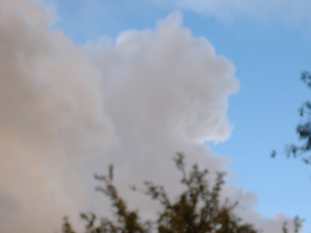 Seven Summer Samauri