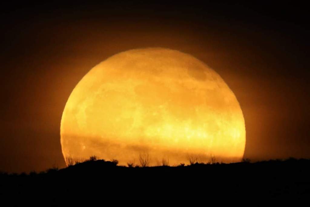 Almost Solstice 2020