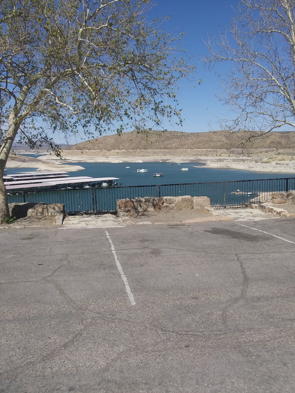 disintigrating with Distinction