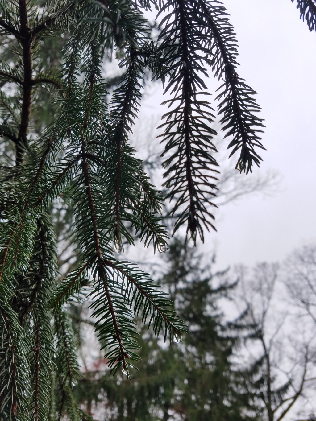 Amity or On Opening My&nbsp;Heart