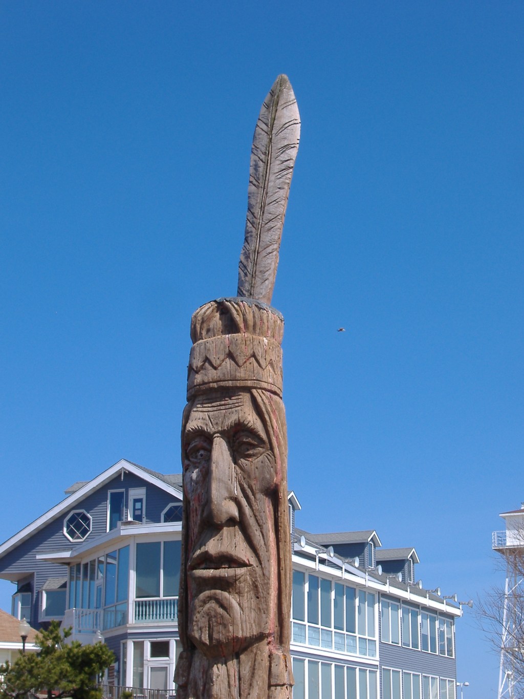 Your One Wild&nbsp;Life