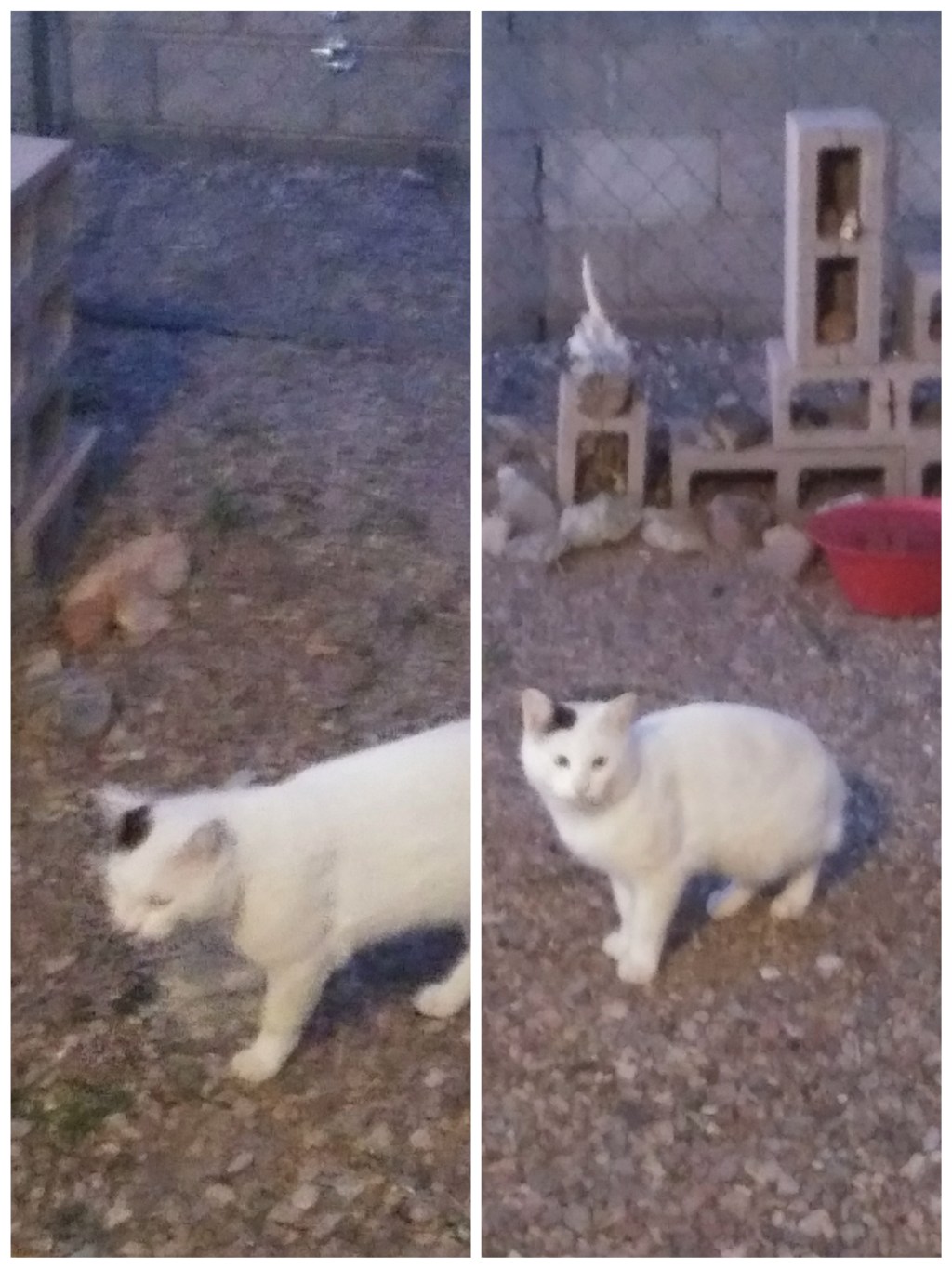 ALL NIGHT WAITING FOR&nbsp;FOOD