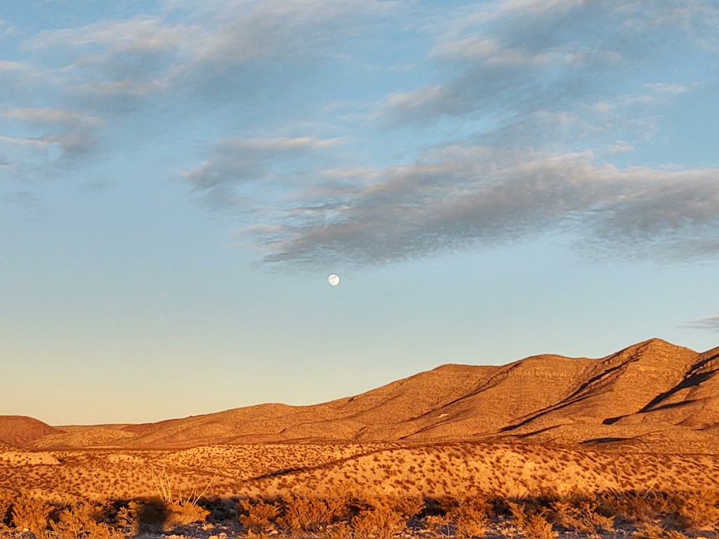 Living in Reflection