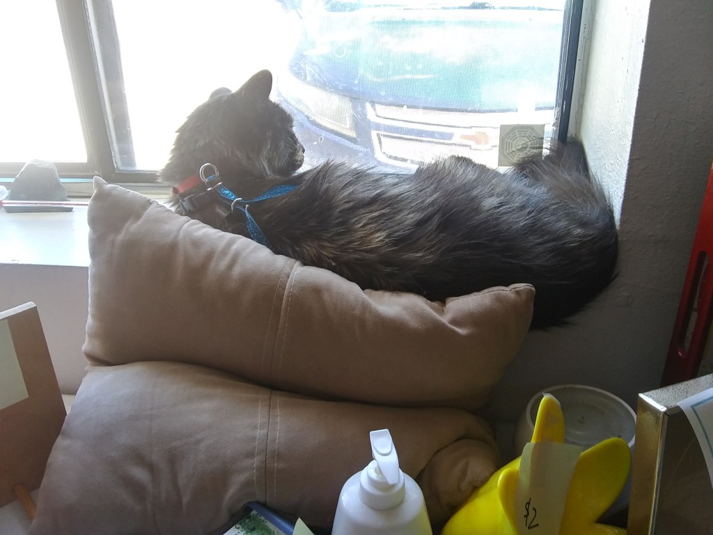 Before the Cat&nbsp;Died