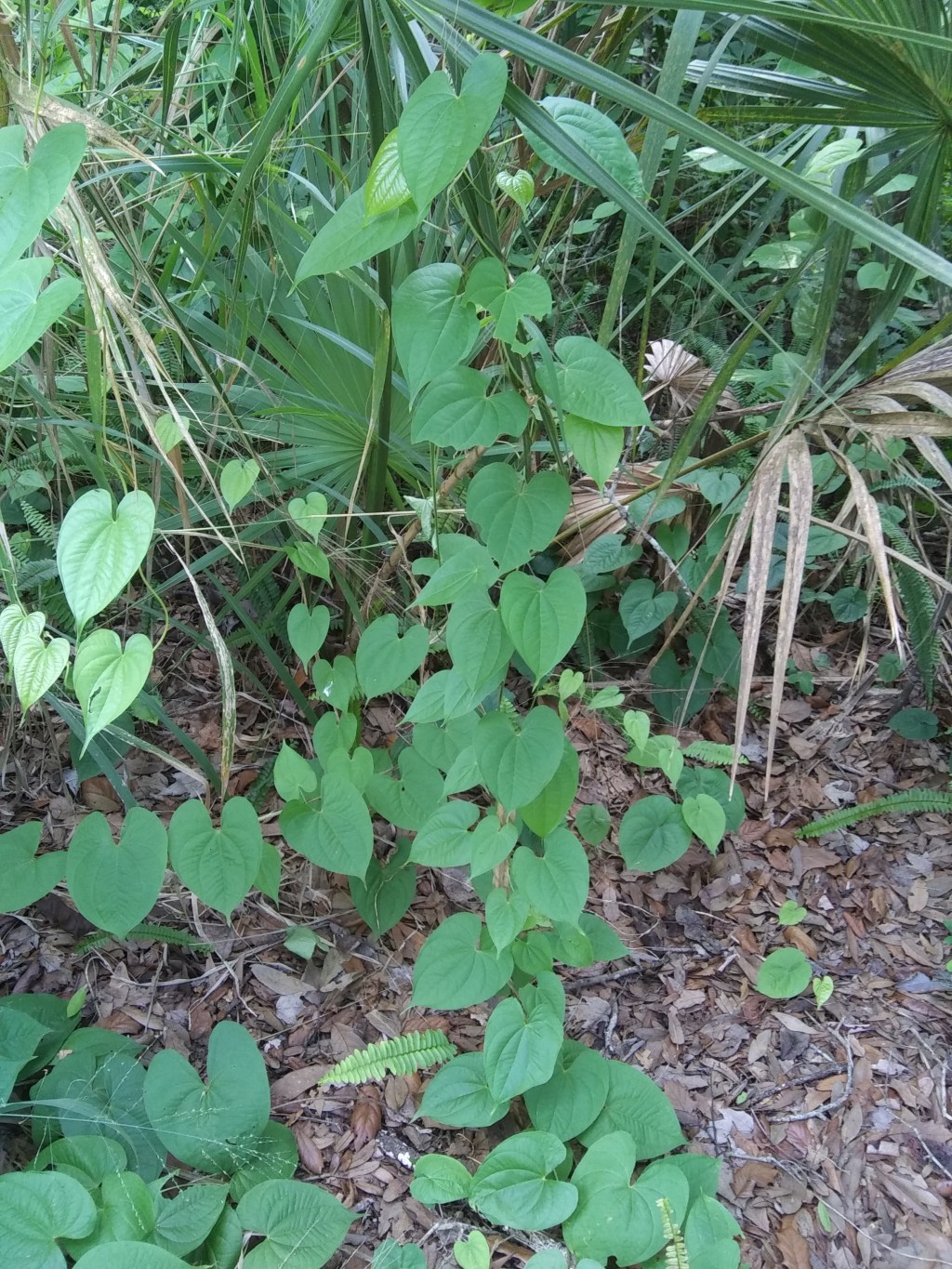 Keep on Slipping Into the&nbsp;Future